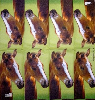 069 Pferde - 3-lagig - ppd - The Image Bank